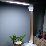 [댓글부탁해] 와! <b>광합성</b>!