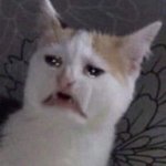 [스키즈] 스키즈 용복이 짤털좀ㅠㅠ