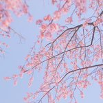 [드루와] 서울 대학 붙은 <b>지방</b> 애들아