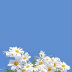 [드루와] 고3들 너무 <b>불쌍</b>해