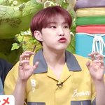 [세븐틴] 호싱이는 무조건 <b>햄</b><b>찌</b>임..