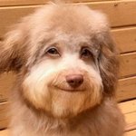 <b>범상</b>치 않은 지구의 생명체들