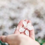 고운 당신에게