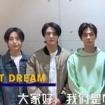 [NCT즌] <b>홍합</b>에 물리고 만 드림이들