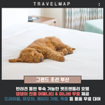댕댕이와 함께하는 펫 <b>호텔</b> 소개