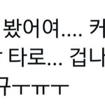 [NCT즌] <b>타로</b> 목격담인데