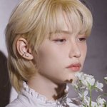 [스키즈] 아니 근데 필릭스