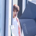 [NCT즌] 뭐임 이거 <b>루키즈때</b> 비슷하지얺음?