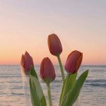 [모두드루와] 킹덤이 조작인 이유