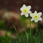 [<b>인적</b>성검사] 모든걸때려치고싶은 지금...