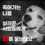 [댓글부탁해] 봉사자한테 700만원 내놓으라는 계양<b>구청</b>