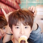 [NCT즌] 정우이때 걍 강아지 그<b>자체</b>아님?