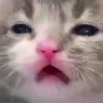 우리 <b>체육</b>쌤은 키작은데 잘생기심
