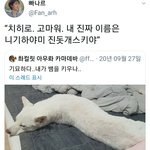 아침 먹으면 캐캐체 보다가 울뻔