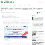 [이럴수있나] 더 이상의 피해자가 생기지 않길 바랍니다(제주 스타렌터카)