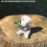 딸이 남기고 간 <b>인형</b>을 본 엄마