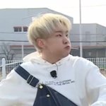 [세븐틴] 아 근데 진짜