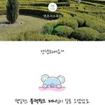 [모두드루와] 블핑 제니 수목원에 <b>댄서</b>들이랑 촬영하러 간거였네