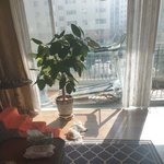 강아지 고양이 코성<b>애자</b> 모여라