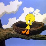 [댓글부탁해] 쭉 기억에 남았던 연애썰 풀어주라 ྕ•̃͡ ɷ•̃͡༽ฅ