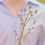 [세븐틴] 이거 사진<b>출처</b>아는사람있을까??