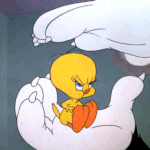 [드루와] 얘들아 들어와줭 <b>라운드숄더</b>