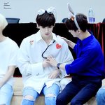 [펜타곤] 쌍원즈 귀엽네 노네