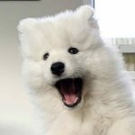 [NCT즌] 이게 <b>최선</b>이었냐고