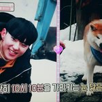 [세븐틴] 아니 어멋날에서