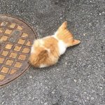 [댓글부탁해] 변명 잘하는 사람 ㅈㅂ <b>도우</b>ㅘ줘