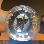 [모두드루와] 5년차에 응원봉 나온 아이돌......