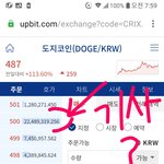 [코인] 도지코인의 기사 <b>매수</b>벽500?