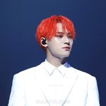 [세븐틴] 난 김민규가 확신의