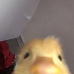 친구관계 고민 좀 들어줘