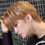 [NCT즌] 나 마크 노란끼 있는 금발도 <b>찰떡</b>이라생각했는데