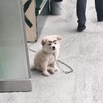 [NCT즌] 런쥔이 <b>눈썹문신</b> 했나밬ㅋㅋㅋㅋㅋ