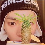 [NCT즌] 파인애플 툥야