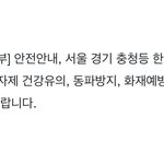 [무한분열] 걍