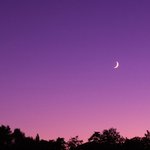 [댓글부탁해] 여름밤이 생각나는 노래 쓰고가