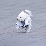 너네 친구가 옆에서 자꾸 유튜버 얘기만 하면 어떨거같음