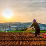 구절강해(막4 8 유튜브 교회 #활공교회)