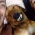 유마온리 <b>밤비</b> 밤 ㅃ ㅔ——-엑