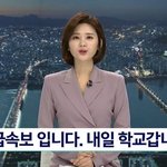 [NCT즌] 컨버스 색 추천 좀