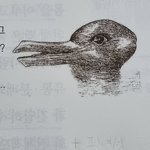 [스키즈] 이리노랑 <b>이용복</b>이 동시에 보이는 그림