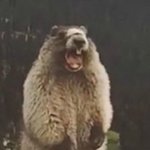 [NCT즌] <b>헤어담당</b>나와라