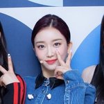 승무원 프리패스 상