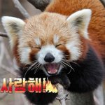 [방탄소년단] 최애는 언급금지고 내 차애는