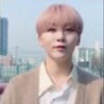 [세븐틴] 이거 그거같지 않냐