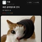 [댓글부탁해] <b>야들</b>아 추반좀 ㅈ 뷰ㅠㅠㅠ