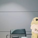 [스키즈] 우연히 <b>캡쳐</b>했는데